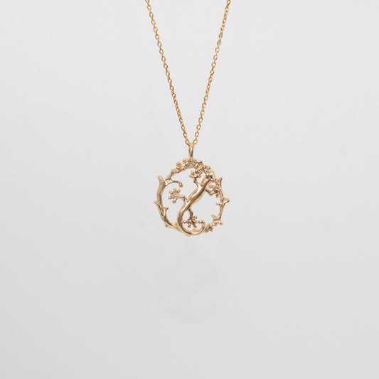 O’s Garden　ヤモリ - O's garden