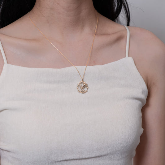 O’s Garden　ヤモリ - O's garden