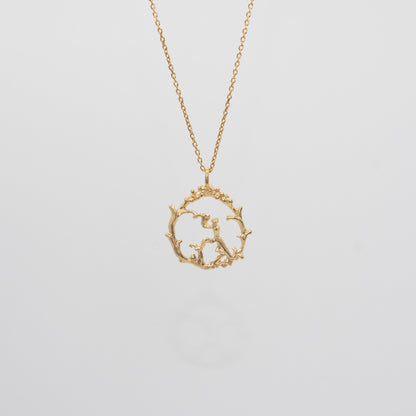 O’s Garden　カマキリ - O's garden