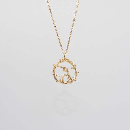 O’s Garden　カマキリ - O's garden